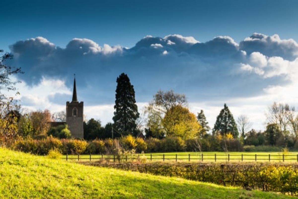 Probate Professional Services Bishop's Stortford